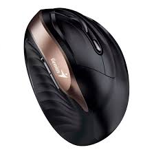 Mouse Genius Ergo  8250 Dorado